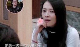 苹果女儿在线观看,在线观看，揭秘科技巨头背后的家庭故事